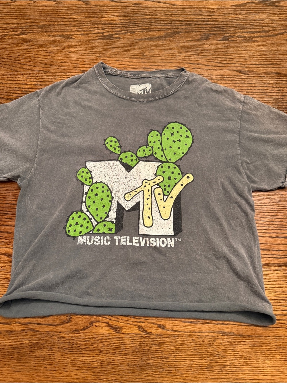 MTV Music Television Cactus Graphic Crop Tee Gray Y2K 2009 Size M